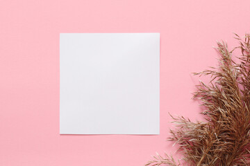 blank paper note sheet on pastel pink background and dry grass