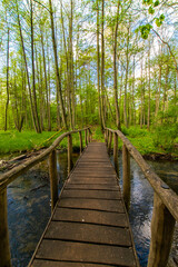 Obraz premium wooden bridge in the forest