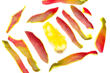Peeled mango skins on a white background.