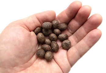 Rabbit excrement in hand on a white background.