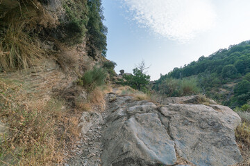 dirt road in the Sierra Nevada mountain