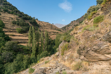 dirt road in the Sierra Nevada mountain