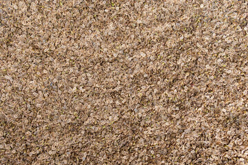 dill seeds background texture. Dill seeds. Storage of dill seeds. Aromatic seasoning