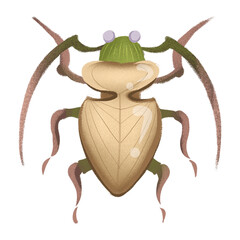 beetles, insects, ladybug, beetle with horns, insects, cute, colorful insects, cockroach,, insects, ladybug