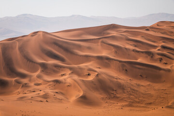 Fototapeta na wymiar Orange Sand Dunes strong contrast in Africa