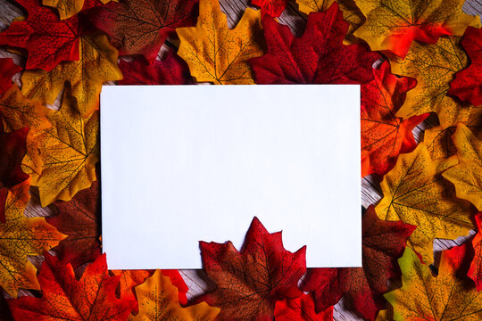 Blank white card surrounded by colorful maple leaves. Autumn & fall holiday theme. Happy thanksgiving. Empty space for text. Copy space.