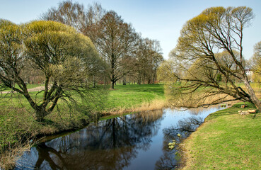 Sunny spring landscape with small pond surrounded by trees reflecting in the water in Victory Park, Riga, Latvia.