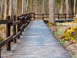 A beautiful brown bridge with a fence which is in the forest in the evening. Nature and relaxation concept