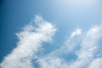 春の空２０２１年（其の四）