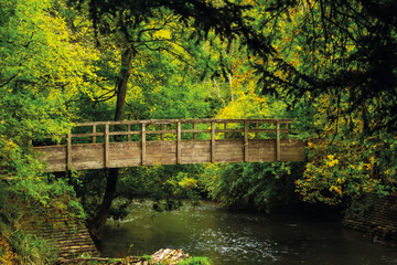 Bridge In A Peaceful Forest