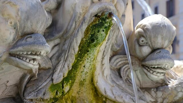 Antique baroque marble fountain with monster heads in Rome near Pantheon
