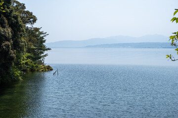 風景素材　新緑の季節の琵琶湖　海津大崎