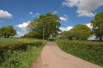 Fototapeta na wymiar Summertime scenery around the country roads of England and Wales.
