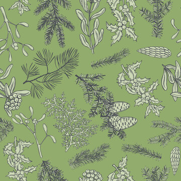Vector   pattern with Christmas plants
