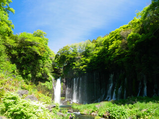 日本、白糸の滝