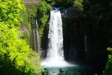 Fototapeta na wymiar 日本、音止の滝