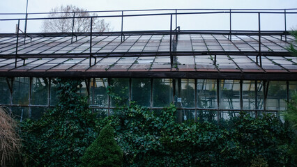 Fototapeta premium Greenhouse for growing plants, greenhouse