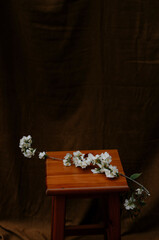Flores blancas sobre banco de madera