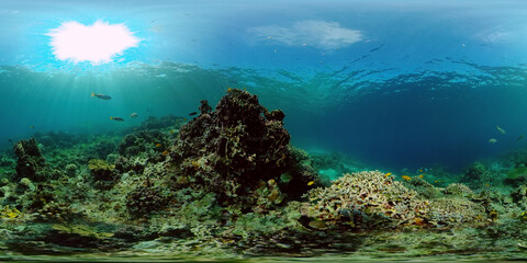 Naklejka na ściany i meble Reef Marine Underwater Scene. Tropical underwater sea fish. Philippines. Virtual Reality 360.
