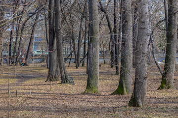 Spring city park in the early sunny morning