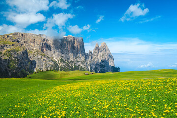 Fantastic alpine scenery with yellow dandelions on the fields, Dolomites
