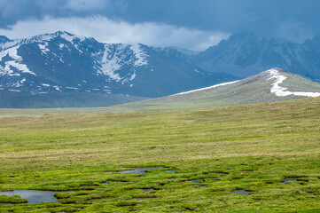 Deosai Beautiful Vibrant Landscape. Deosai National Park is a high-altitude alpine plain in the Northern Gilgit-Baltistan GB region of Kashmir Pakistan. Second highest plateaus in world.