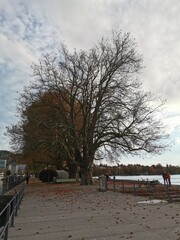  2020 - 10 - Herbst am Bodensee - Bodensee 10 