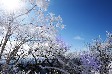 Winter snow scenery at Gyebangsan Mountain, Korea