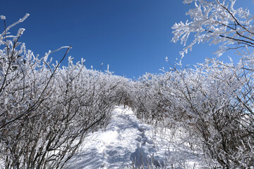 Winter snow scenery at Gyebangsan Mountain, Korea