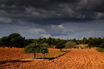 FORMENTERA BALEAREN
