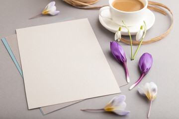 Gray paper sheet card mockup with spring snowdrop crocus and galanthus flowers and cup of coffee on gray background. side view, copy space.