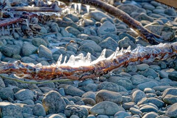  2021 - 02 - Neu Amerika - Neu Amerika 45 