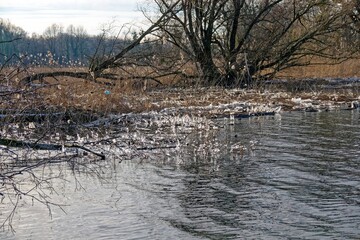  2021 - 02 - Neu Amerika - Neu Amerika 83 