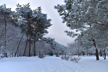 Snowy landscape of Seonunsan Mountain in Gochang, Korea