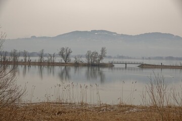  2021 - 02 - Rheindamm - Rheindamm 21 