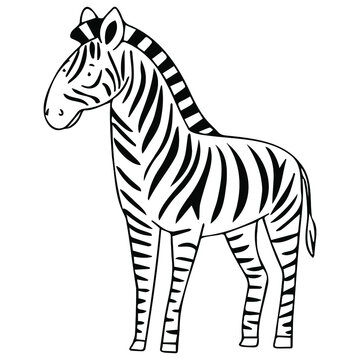 Vector image with zebra in doodle style. Zebra for coloring.