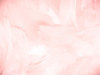Beautiful abstract light pink feathers on white background,  white feather frame on pink texture pattern and pink background, love theme wallpaper and valentines day, white gradient