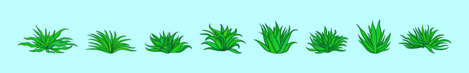 set of maguey plant cartoon icon design template with various models. vector illustration isolated on green background