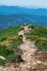 Obraz premium view of summer mountains range. beautiful landscape