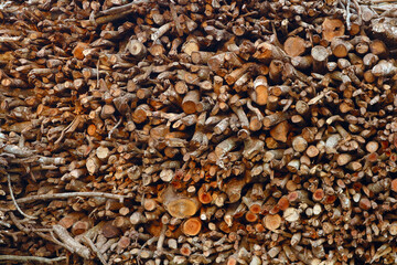 Firewood - abstract natural background, texture.