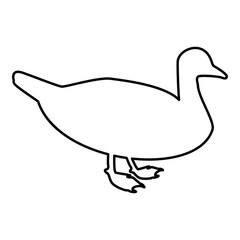 Duck Male mallard Bird Waterbird Waterfowl Poultry Fowl Canard contour outline black color vector illustration flat style image