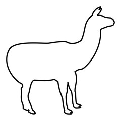 Alpaca Llama Lama Guanaco contour outline black color vector illustration flat style image