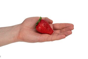 Organic strawberry in male hand isolated on white