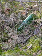 glass bottle in the forest