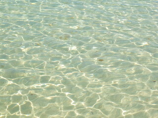 The sunlight hits the clear water surface.