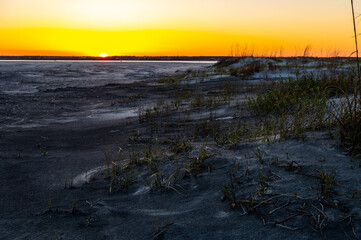 Obraz premium Dune Grass Sunset