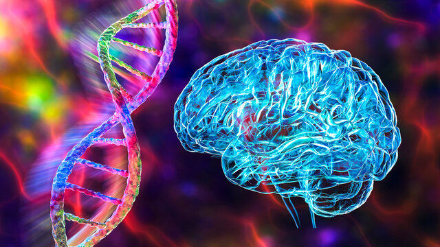 Genetic brain disorders, conceptual 3D illustration. Mutations in the DNA leading to brain diseases. Neurodegenerative disorders