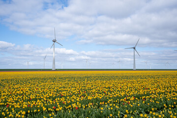 Wind turbines in a field of yellow tulips
