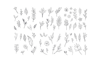 Obraz na płótnie Canvas Hand drawn floral elements. Swirls, laurels, arrows, leaves, flowers and branches. Doodle botanical elements.