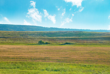 Fototapeta na wymiar Green field landscape